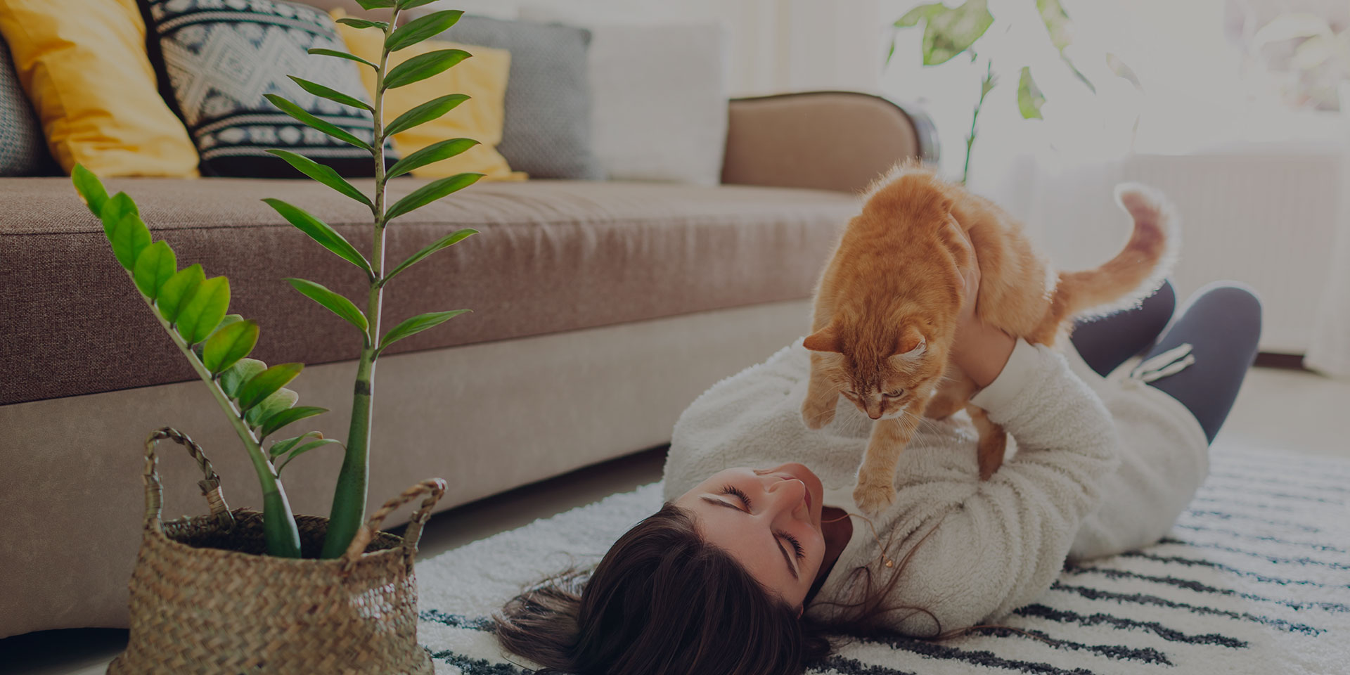 Comfort, Convenience & Community