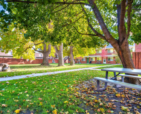 Home courtyard