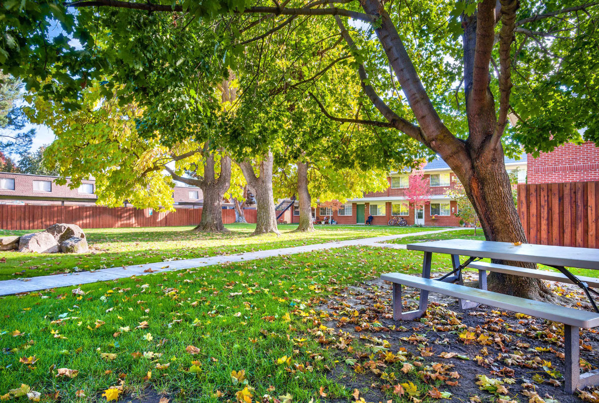 Home courtyard